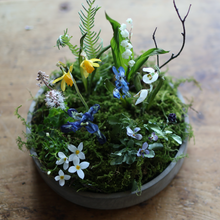 画像をギャラリービューアに読み込む, 月日雁 (Tsukihikari) トレイ