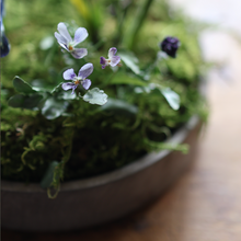 画像をギャラリービューアに読み込む, 月日雁 (Tsukihikari) トレイ