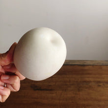 画像をギャラリービューアに読み込む, 加藤かずみ 37 姫林檎カップ_IV