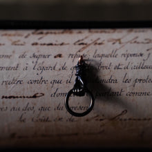 画像をギャラリービューアに読み込む, WS_26,2月BloomWS