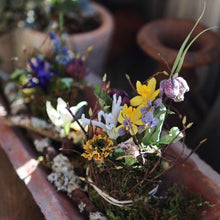 画像をギャラリービューアに読み込む, WS_26,2月 deuxRWS 芽吹の庭