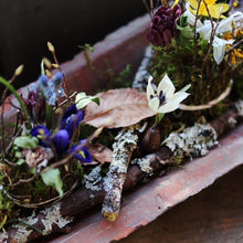 画像をギャラリービューアに読み込む, WS_26,2月 deuxRWS 芽吹の庭