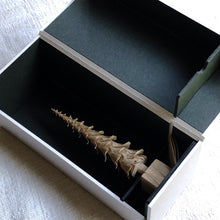 Charger l&#39;image dans la galerie, cogu no mori クルクル
